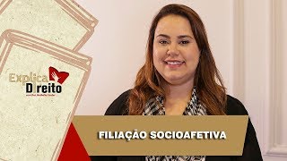 Explica Direito Filiação Socioafetiva  2019 [upl. by Yeruoc]