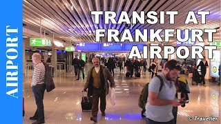 TRANSIT WALK AT FRANKFURT Airport FRA Terminal 1  Connection Flight Transfer Arriving amp Departing [upl. by Edson]